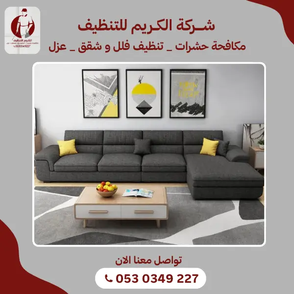 شركة متخصصة في تنظيف الكنب بالبخار في قنا 966530349227